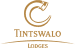 Tintswalo-Main-Logo